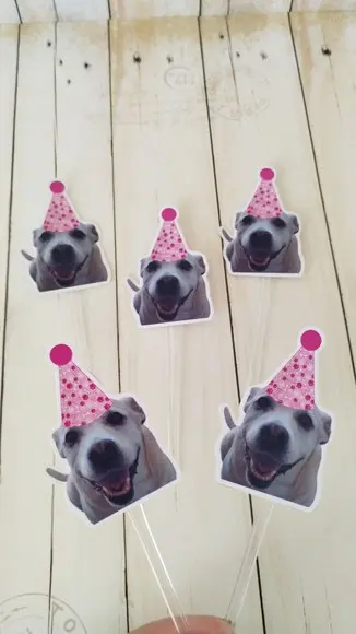 Kit Chapeuzinho e Topper Docinhos Aniversário Cachorro
