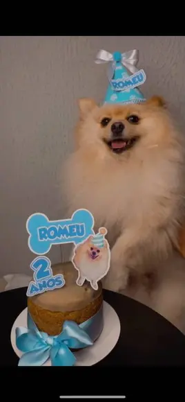 Kit Chapeuzinho e Topper para Bolo Aniversário Cachorro