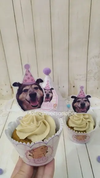 Kit Cupcake e Chapeuzinho Aniversário Cachorro Capivara