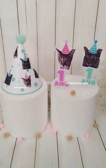 Kit Cupcake e Chapeuzinho Aniversário Gato