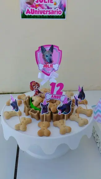 Kit Festa Aniversário Cachorro Caramelo Skye
