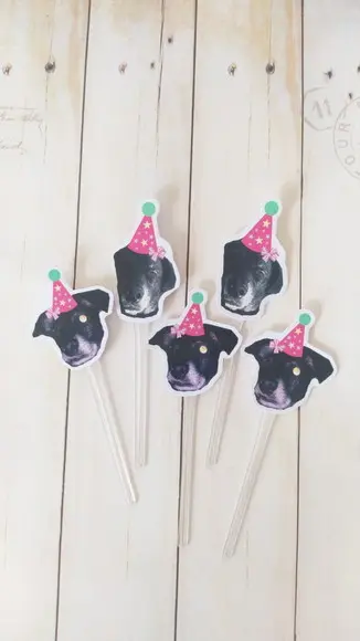 Kit Festa Aniversário Cachorro Chapeuzinho + Toppers Docinho