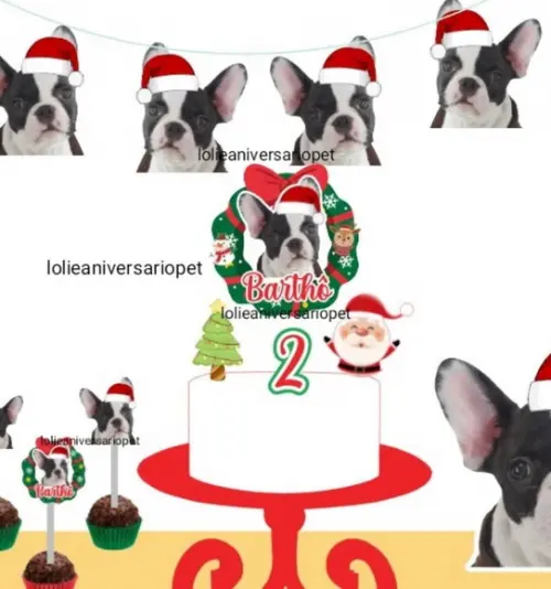 Kit Festa Aniversário Natal para Cachorro ou Gato