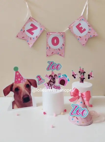 Kit Festa Aniversário Pet Aniversário Cachorro Confeitaria