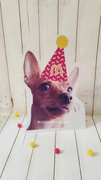 Kit Festa Aniversário Pet Aniversário Cachorro Méqui