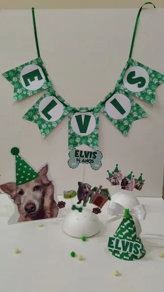 Kit Festa Aniversário Pet Aniversário Cachorro Ossinho Verde