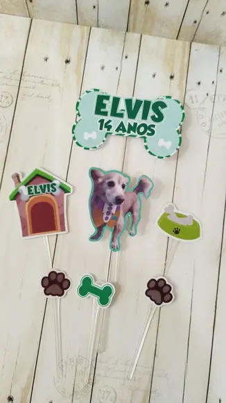 Kit Festa Aniversário Pet Aniversário Cachorro Ossinho Verde