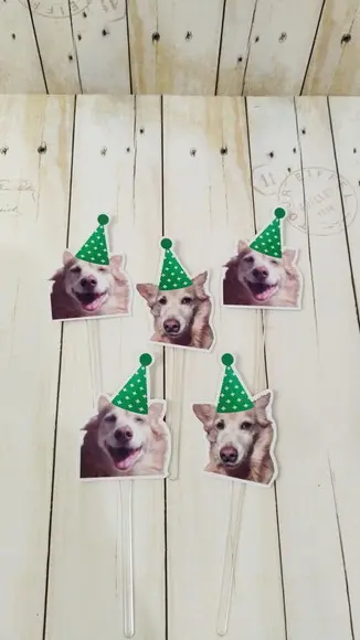 Kit Festa Aniversário Pet Aniversário Cachorro Ossinho Verde