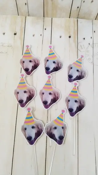 Kit Festa Cachorro Personalizado com Foto e Chapeuzinho