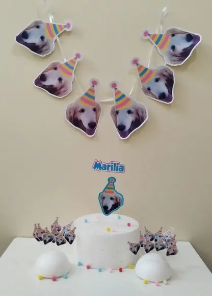Kit Festa Cachorro Personalizado com Foto e Chapeuzinho