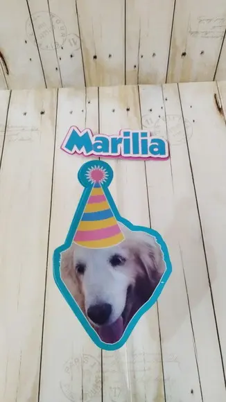 Kit Festa Cachorro Personalizado com Foto e Chapeuzinho