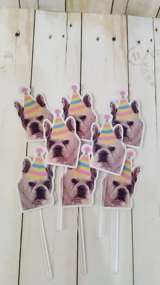 Kit Festa Cachorro Personalizado com Foto e Chapeuzinho