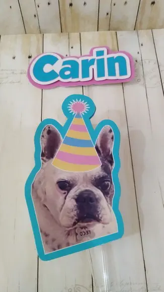 Kit Festa Cachorro Personalizado com Foto e Chapeuzinho