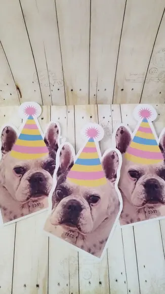 Kit Festa Cachorro Personalizado com Foto e Chapeuzinho