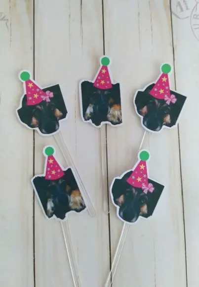 Kit Festa Aniversário Pet Toppers com Foto e Chapeuzinho
