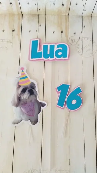 Kit Festa Cachorro Personalizado com Foto e Chapeuzinho