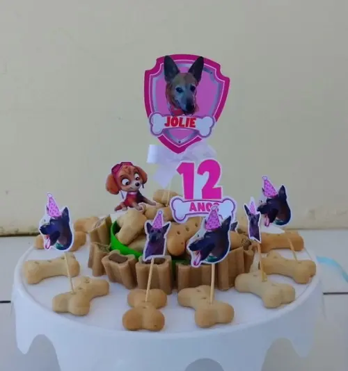 Kit Topper de Bolo Aniversário Pet Caramelo Skye com Foto