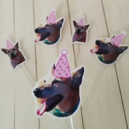 Kit Topper de Bolo Aniversário Pet Caramelo Skye com Foto