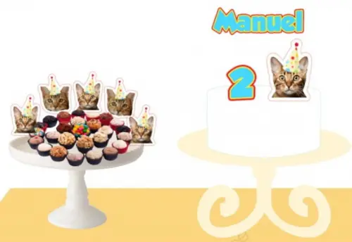Kit Topper de Bolo Festa Aniversário Pet Gato com Foto