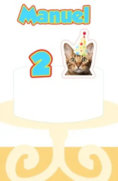 Kit Topper de Bolo Festa Aniversário Pet Gato com Foto