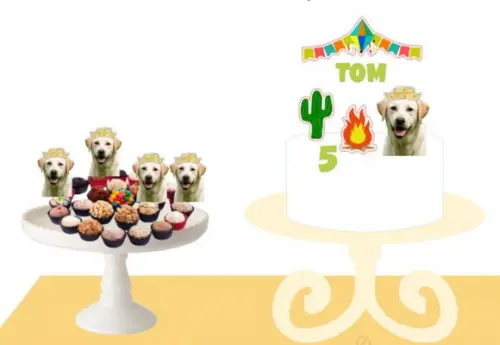 Kit Topper de Bolo Festa Junina/ Fazendinha Aniversário Pet