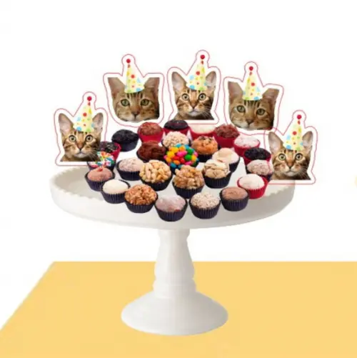 Kit Topper de Bolo Festa Aniversário Pet Gato com Foto