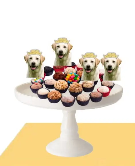 Kit Topper de Bolo Festa Junina/ Fazendinha Aniversário Pet