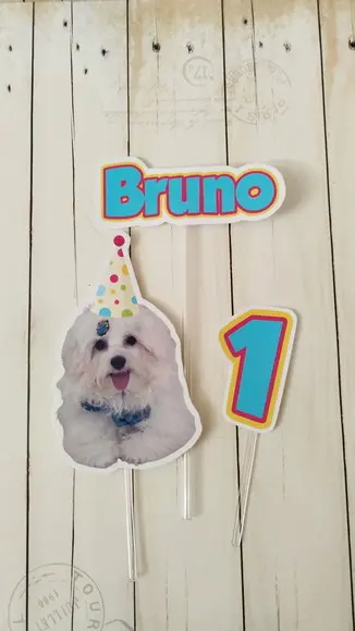 Topper para Bolo Aniversário Pet Cachorro Bruno