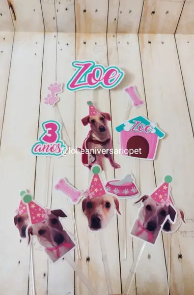 Topper para Bolo Aniversário Pet Cachorro Zoe
