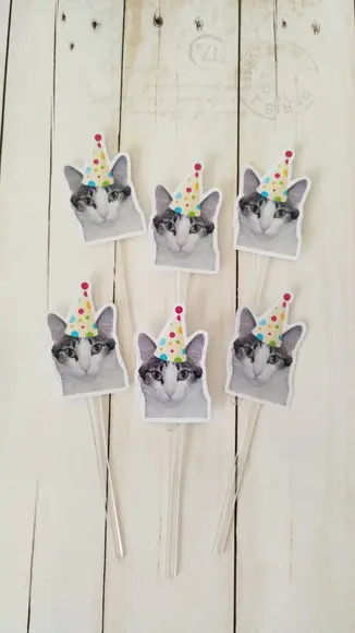 Topper para Docinhos Aniversário Gato com Foto e Chapéu 20un