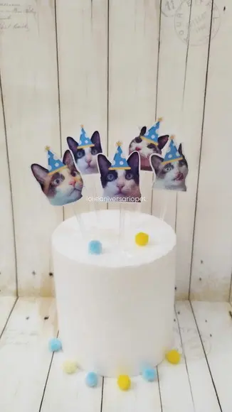 Topper para Docinhos Aniversário Gato com Foto e Chapéu 20un