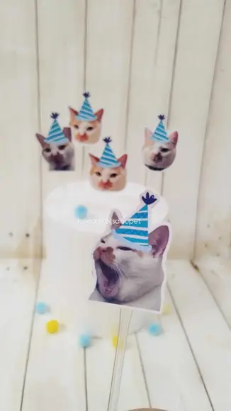 Topper para Docinhos Aniversário Gato com Foto 30 Unid