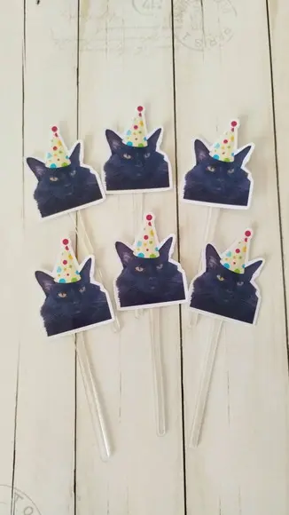 Topper para Docinhos Aniversário Gato com Foto e Chapéu 20un