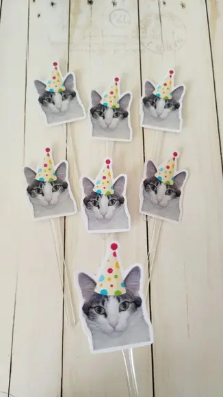 Topper para Docinhos Aniversário Gato com Foto e Chapéu 20un