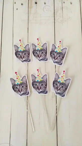 Topper para Docinhos Aniversário Gato com Foto e Chapéu 20un