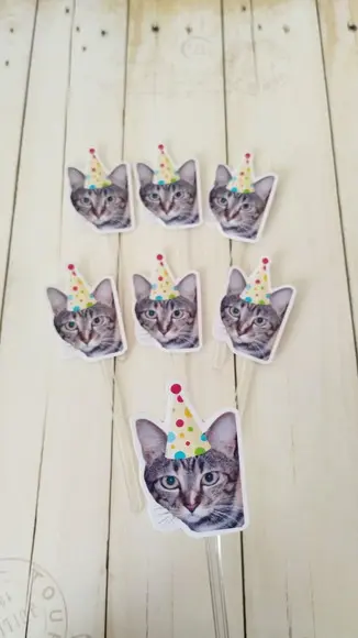 Topper para Docinhos Aniversário Gato com Foto e Chapéu 20un
