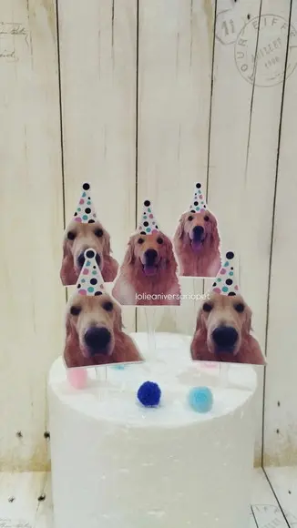 Topper para Docinhos Cachorro com Foto e Chapéu Bolinha 20un
