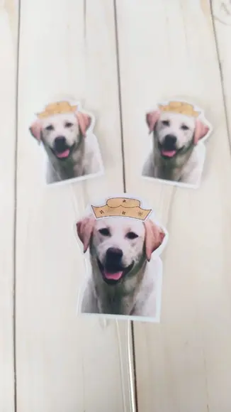Topper para Docinhos Cachorro com Foto e Chapéu Fazenda 20un