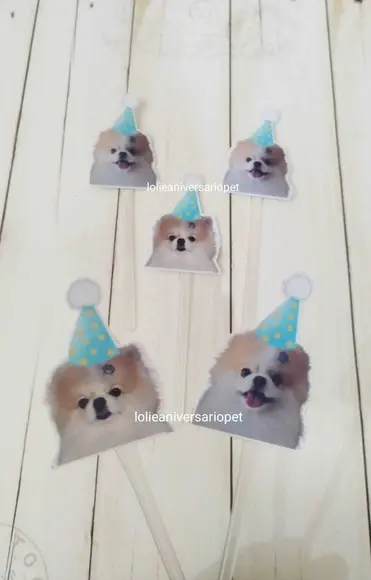 Topper para Docinhos Cachorro com Foto e Chapéu 20un