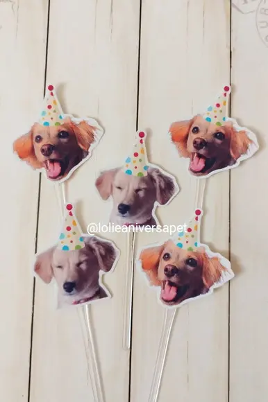 Topper para Docinhos Cachorro com Foto e Chapéu Bolinha 20un