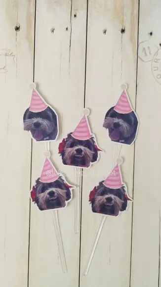 Topper para Docinhos Cachorro com Foto e Chapeuzinho Rosa