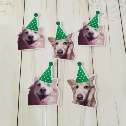 Topper para Docinhos Cachorro com Foto e Chapeuzinho Verde