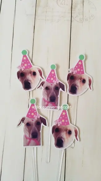 Topper para Docinhos Cachorro com Foto e Chapéu Rosa 20un