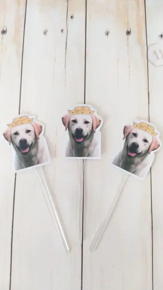 Topper para Docinhos Cachorro com Foto e Chapéu Fazenda 20un
