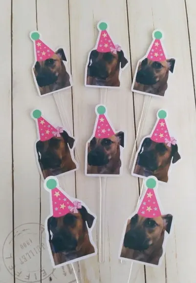 Topper para Docinhos Pet Cachorro com Foto e Chapeuzinho