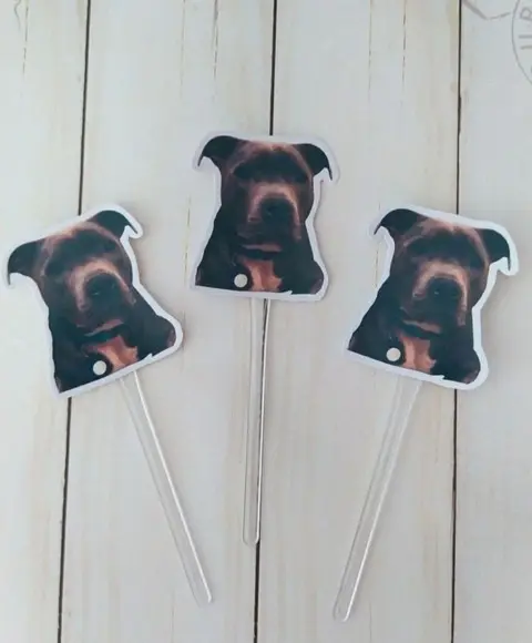 Topper para Docinhos Pet Cachorro com Foto