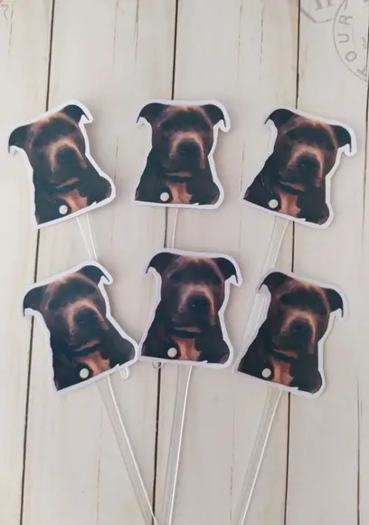 Topper para Docinhos Pet Cachorro com Foto