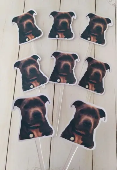 Topper para Docinhos Pet Cachorro com Foto