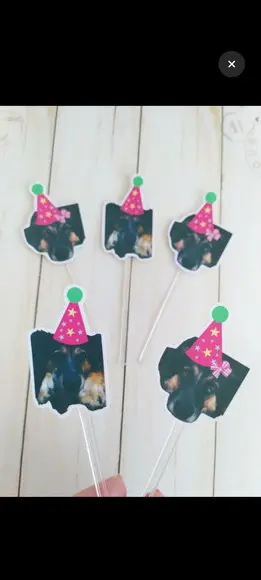 Topper para Docinhos Pet Cachorro com Foto e Chapeuzinho