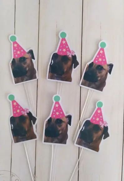 Topper para Docinhos Pet Cachorro com Foto e Chapeuzinho